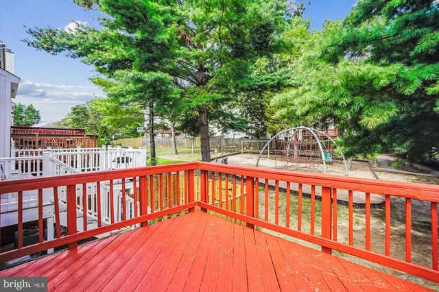 a deck with tall trees in front of it