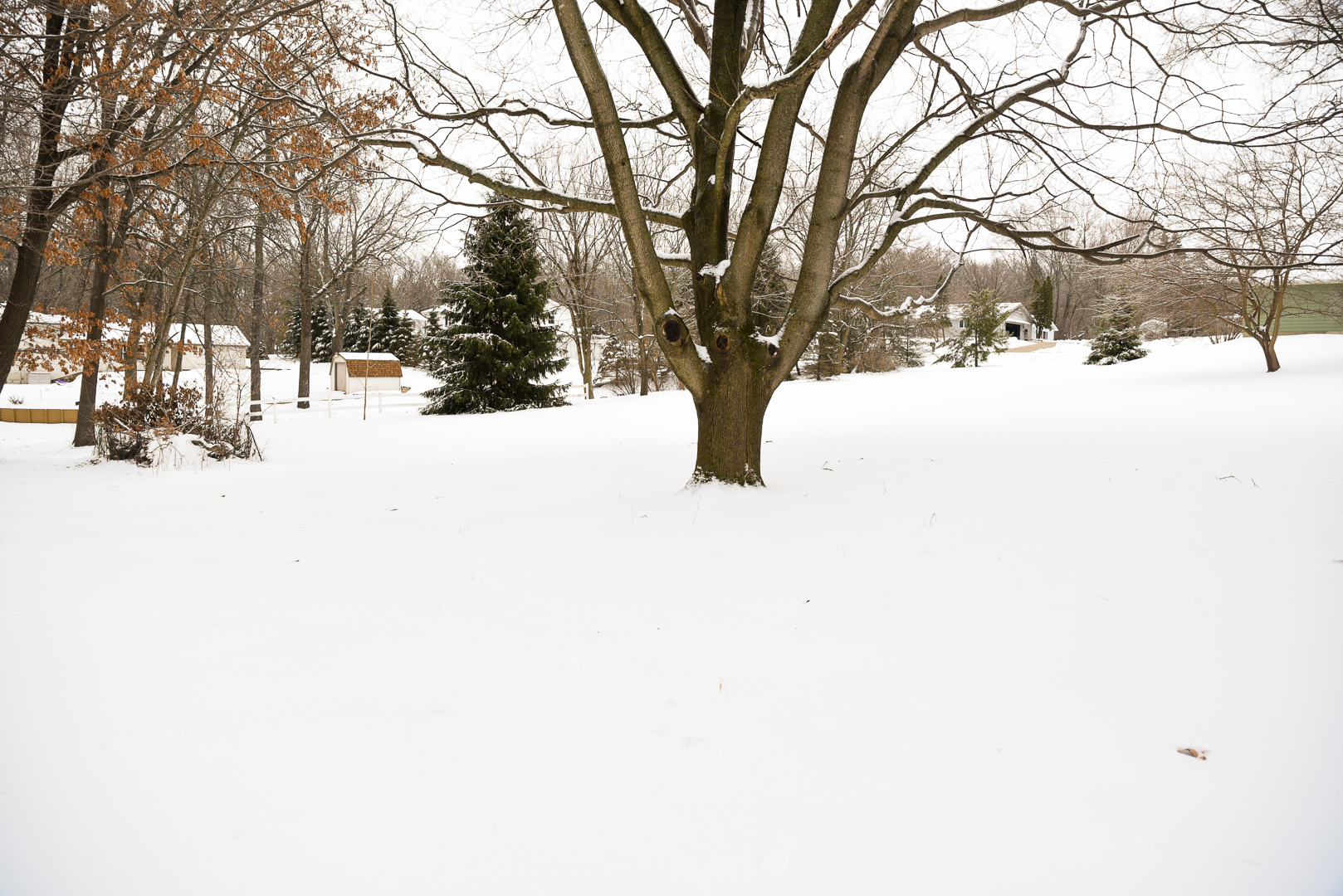 2164 Lowell Park Road Dixon, IL 61021 - Photo 21 of 21