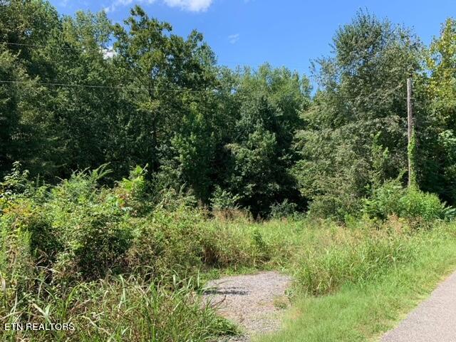 C B Johnson Road Walling, TN 38587 - Photo 1 of 9 IMG_2019