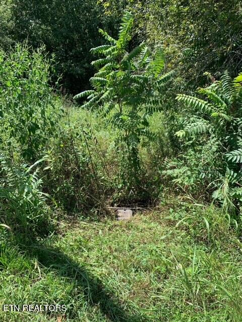 C B Johnson Road Walling, TN 38587 - Photo 7 of 9 IMG_2017