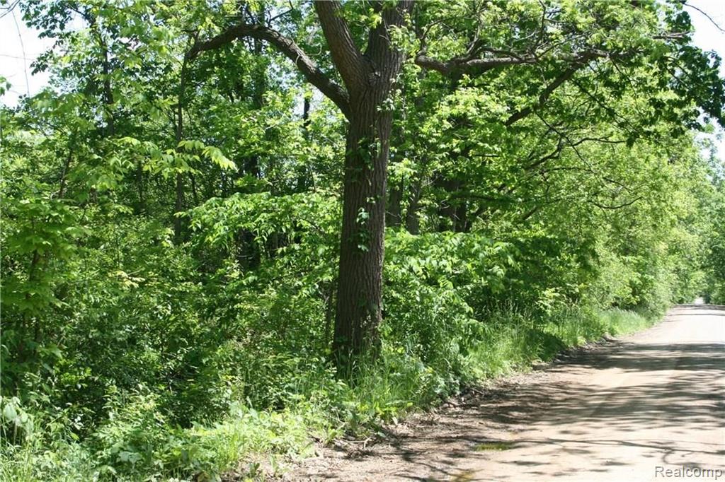 0 Warren Rd Avenue Detroit, MI 48201 - Photo 2 of 10