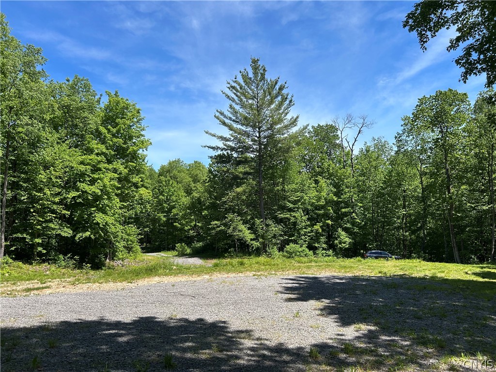 7702 Hiawatha Lake Road Greig, NY 13343 - Photo 4 of 14