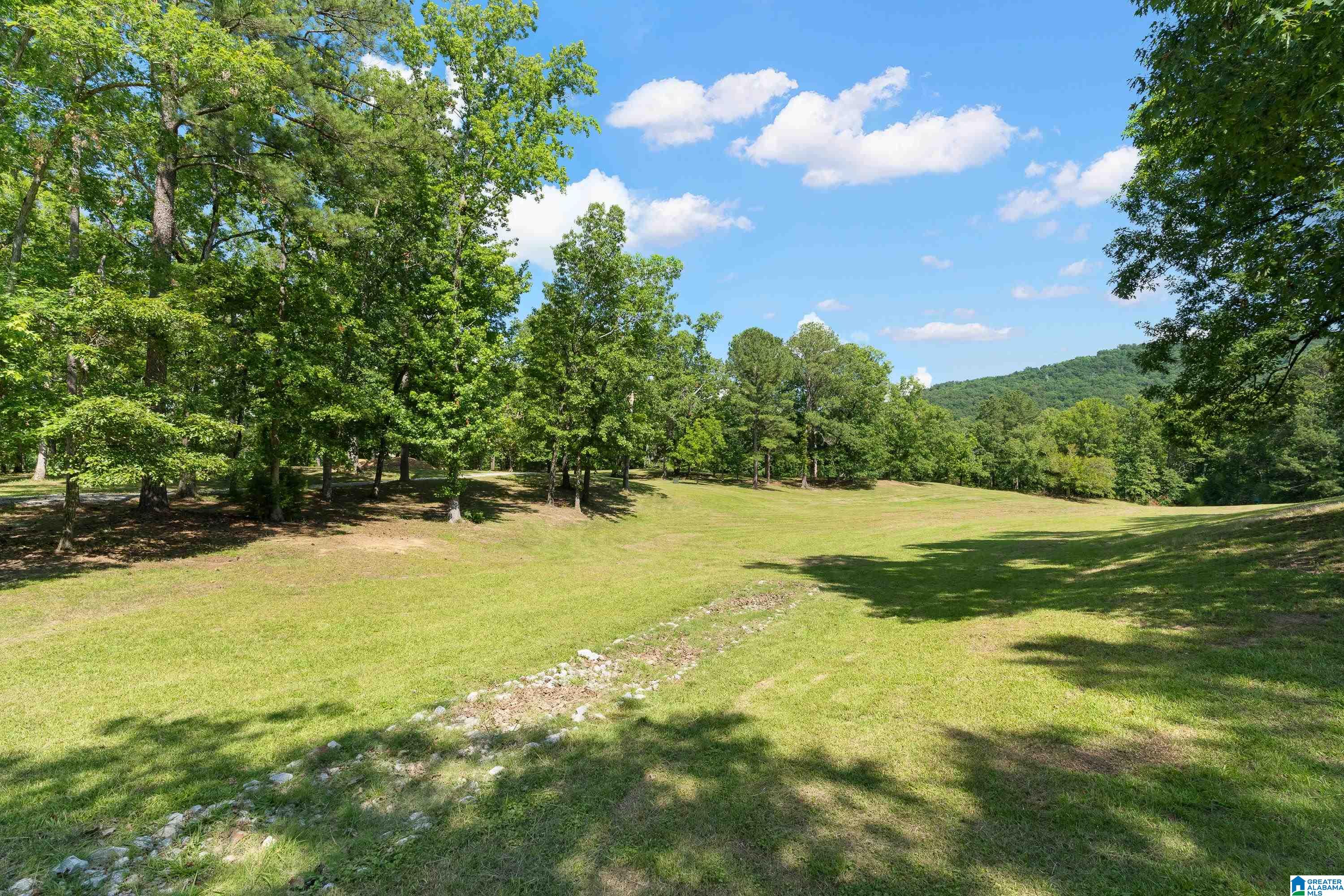9314 Bear Creek Road Sterrett, AL 35147 - Photo 87 of 100