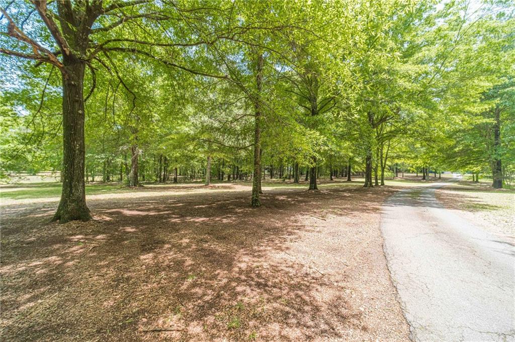 4415 Locklin Road Monroe, GA 30655 - Photo 76 of 79 a view of a tree in the middle of a yard