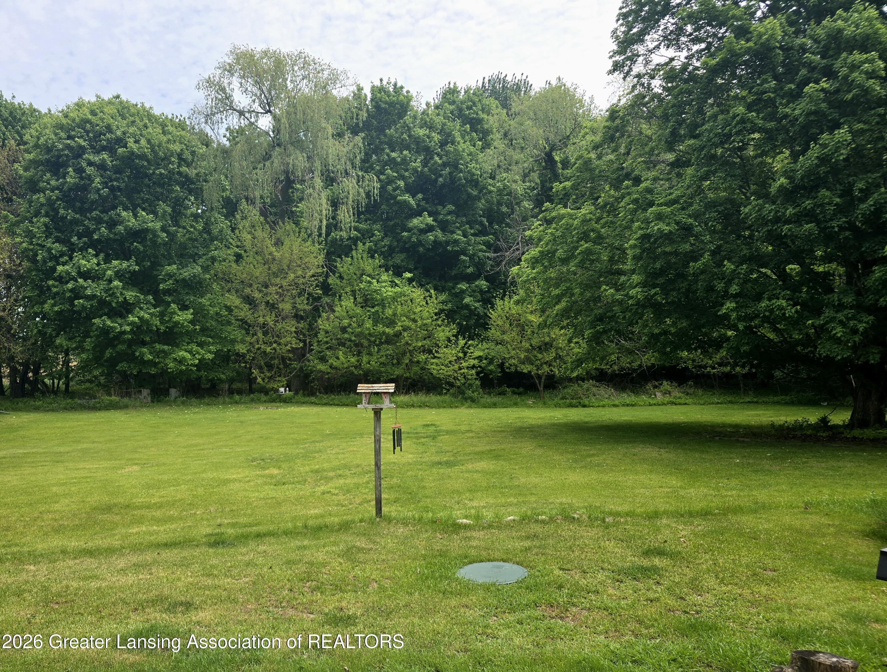 7694 North Meridian Road Elsie, MI 48831 - Photo 2 of 41 Meridain yard