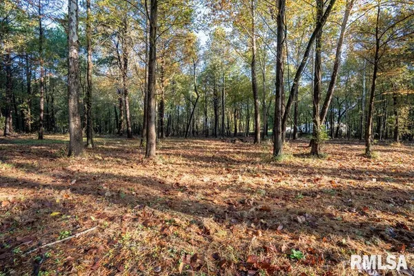 $70,000 | 0 Baptist Camp Road, Carterville, IL 62918