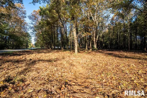$70,000 | 0 Baptist Camp Road, Carterville, IL 62918