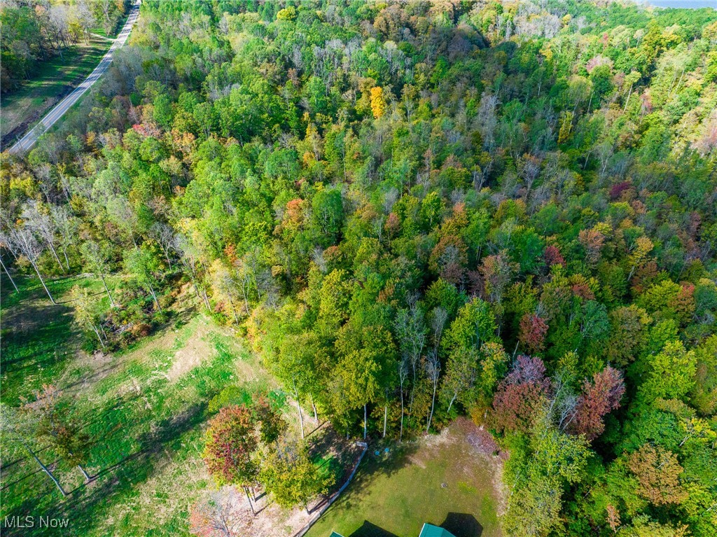 Clendening Lake Road Freeport, OH 43973 - Photo 41 of 41 Aerial view of property's location