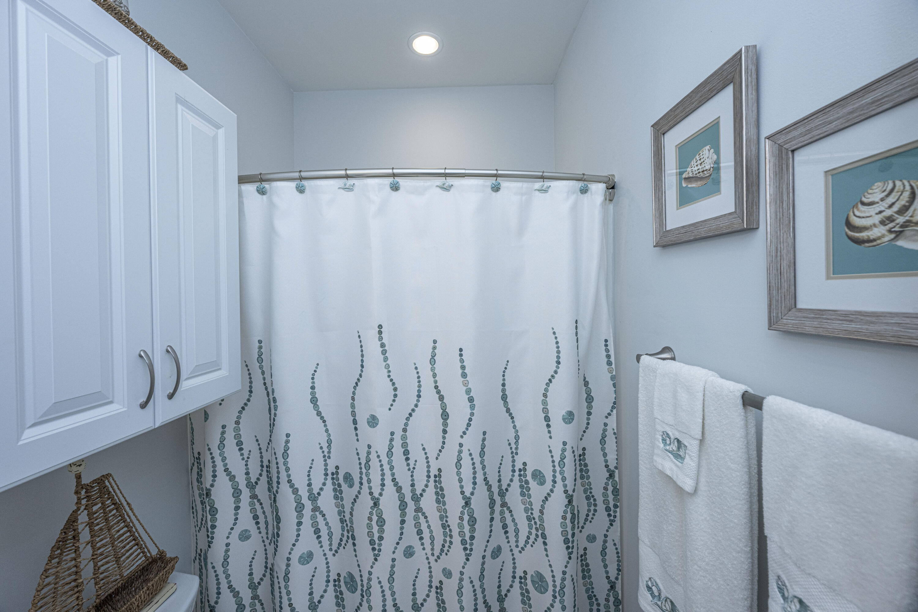 5843 Yellow Dog Road Ravenel, SC 29470 - Photo 30 of 52 Guest Bath
