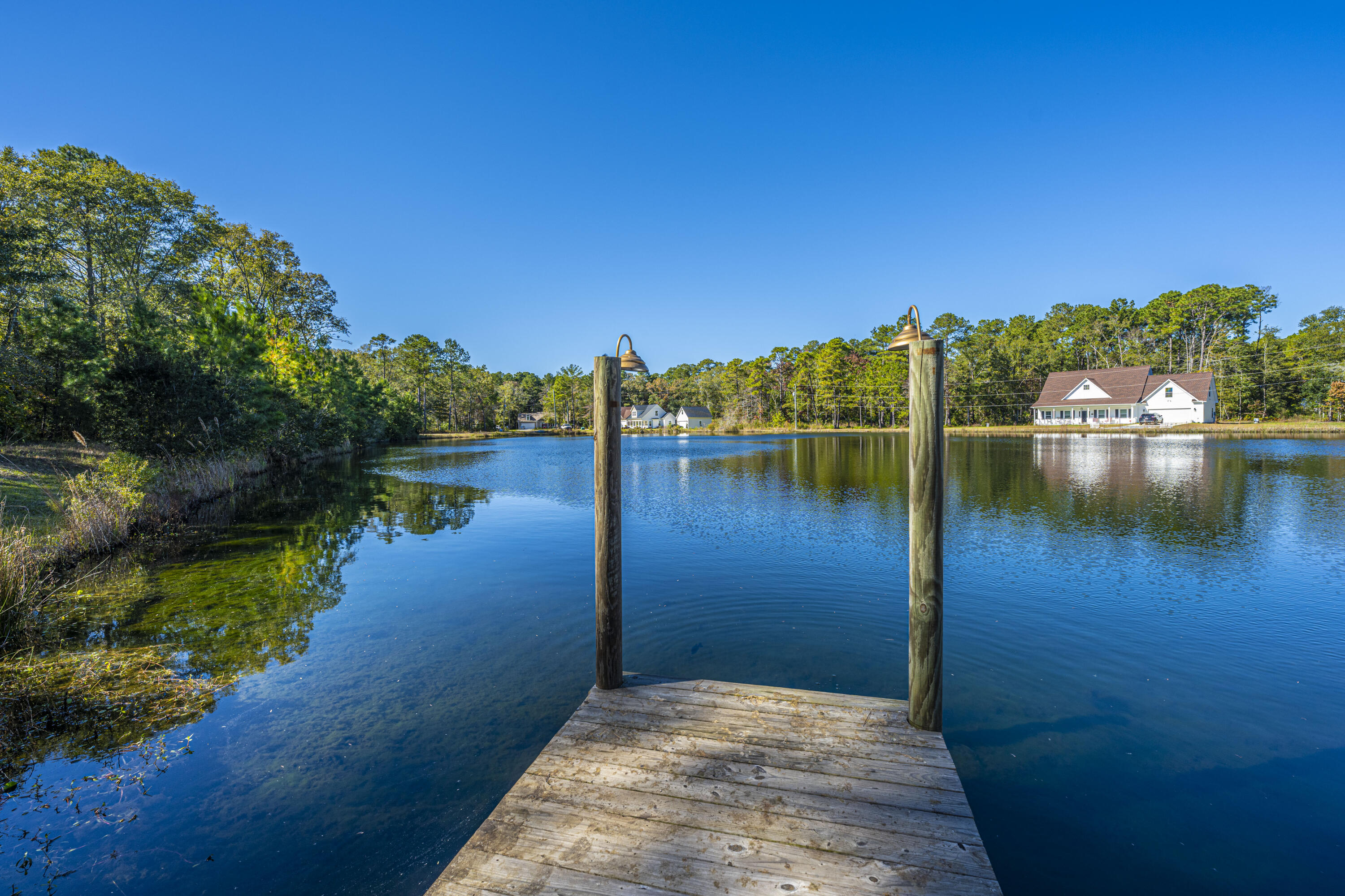 5843 Yellow Dog Road Ravenel, SC 29470 - Photo 43 of 52 Private Dock