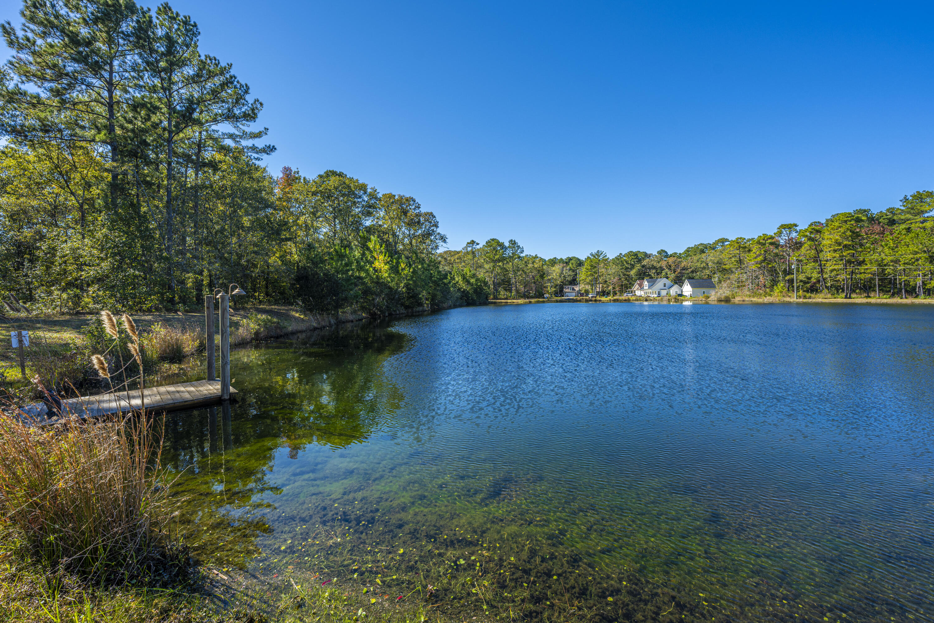 5843 Yellow Dog Road Ravenel, SC 29470 - Photo 44 of 52 A Little Bit of Paradise