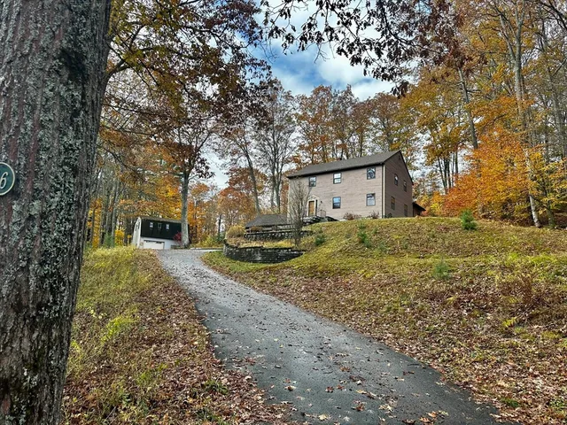 a view of a yard with a house and a large tree