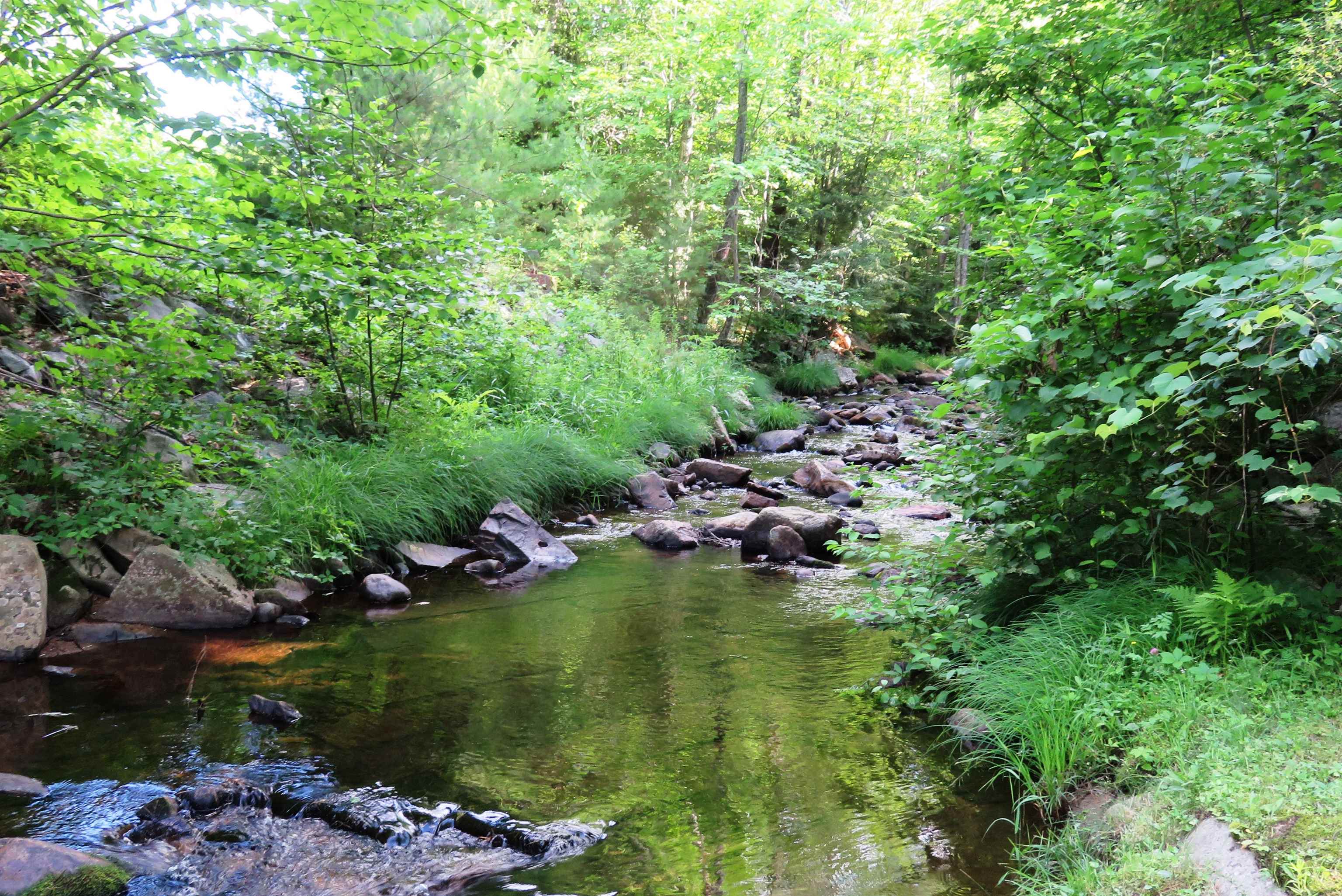 66 Intervale Road Gilford, NH 03249 - Photo 9 of 39