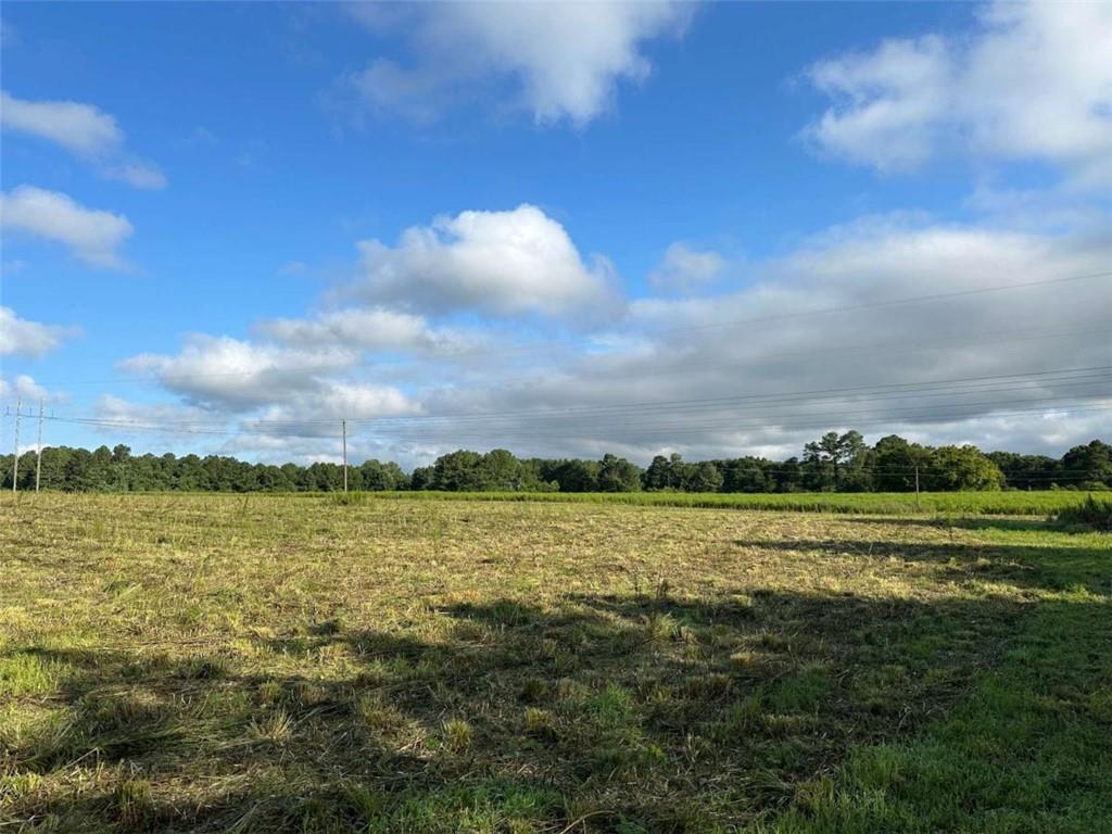 0 Popham Road Taylorsville, GA 30178 - Photo 11 of 19