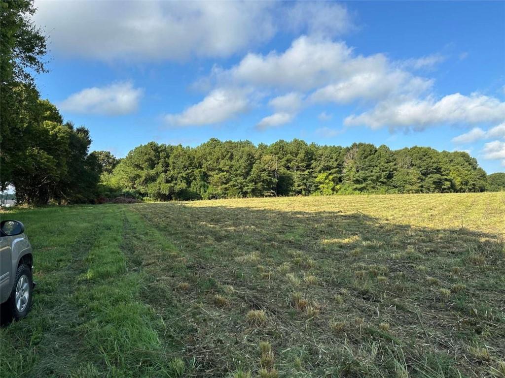 0 Popham Road Taylorsville, GA 30178 - Photo 12 of 19