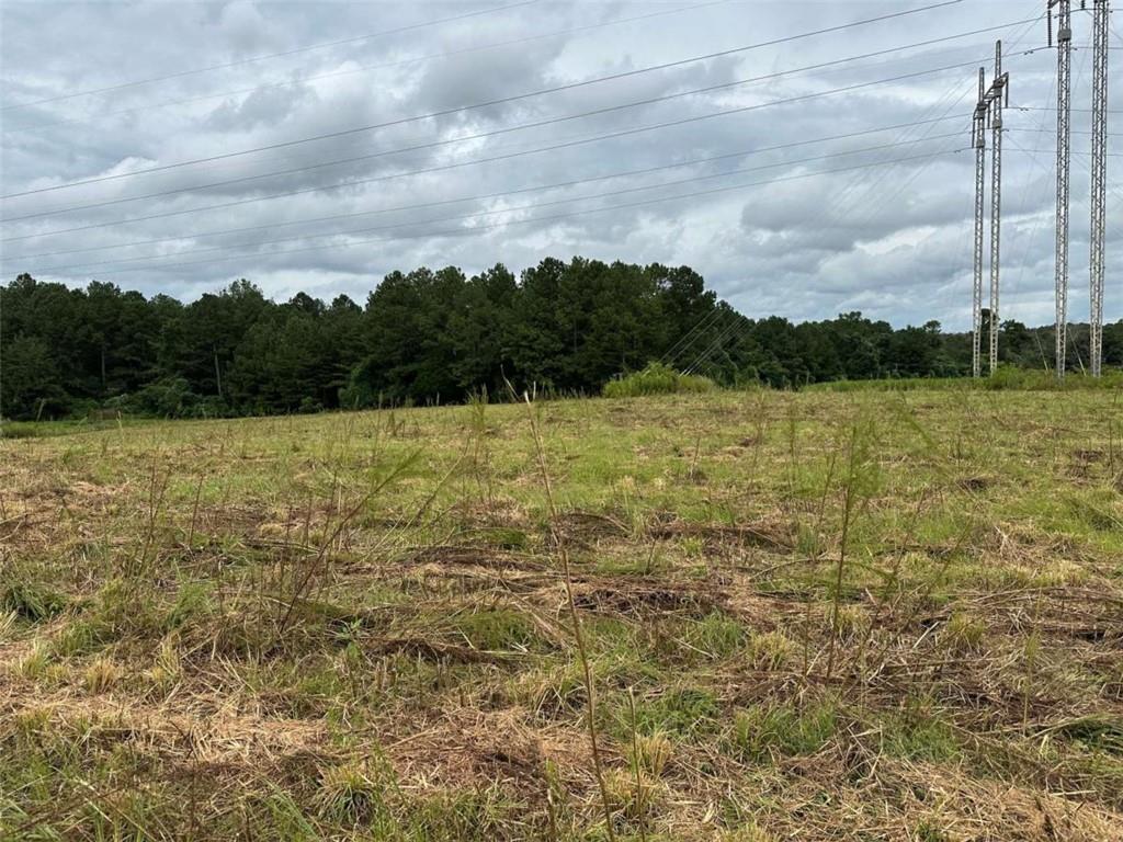 0 Popham Road Taylorsville, GA 30178 - Photo 15 of 19