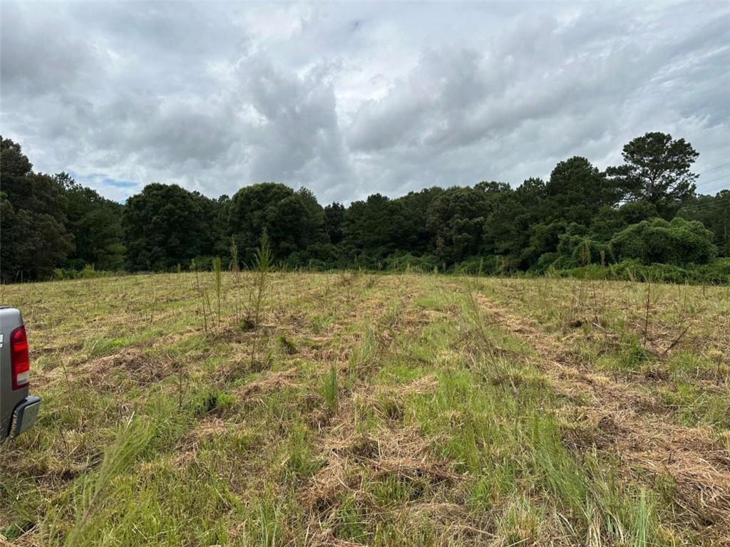 0 Popham Road Taylorsville, GA 30178 - Photo 16 of 19