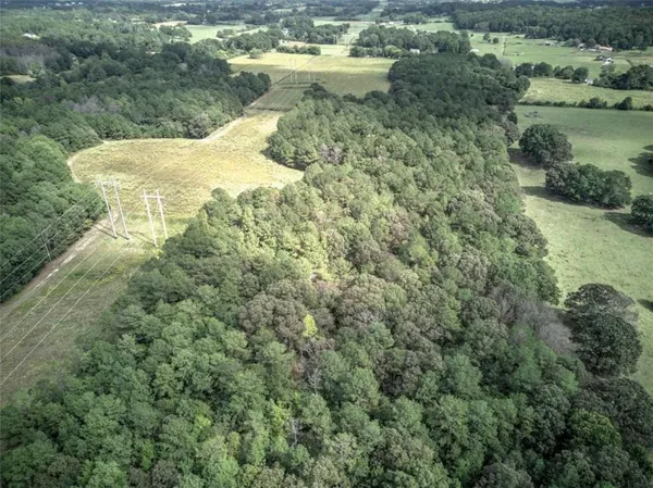 a view of a yard