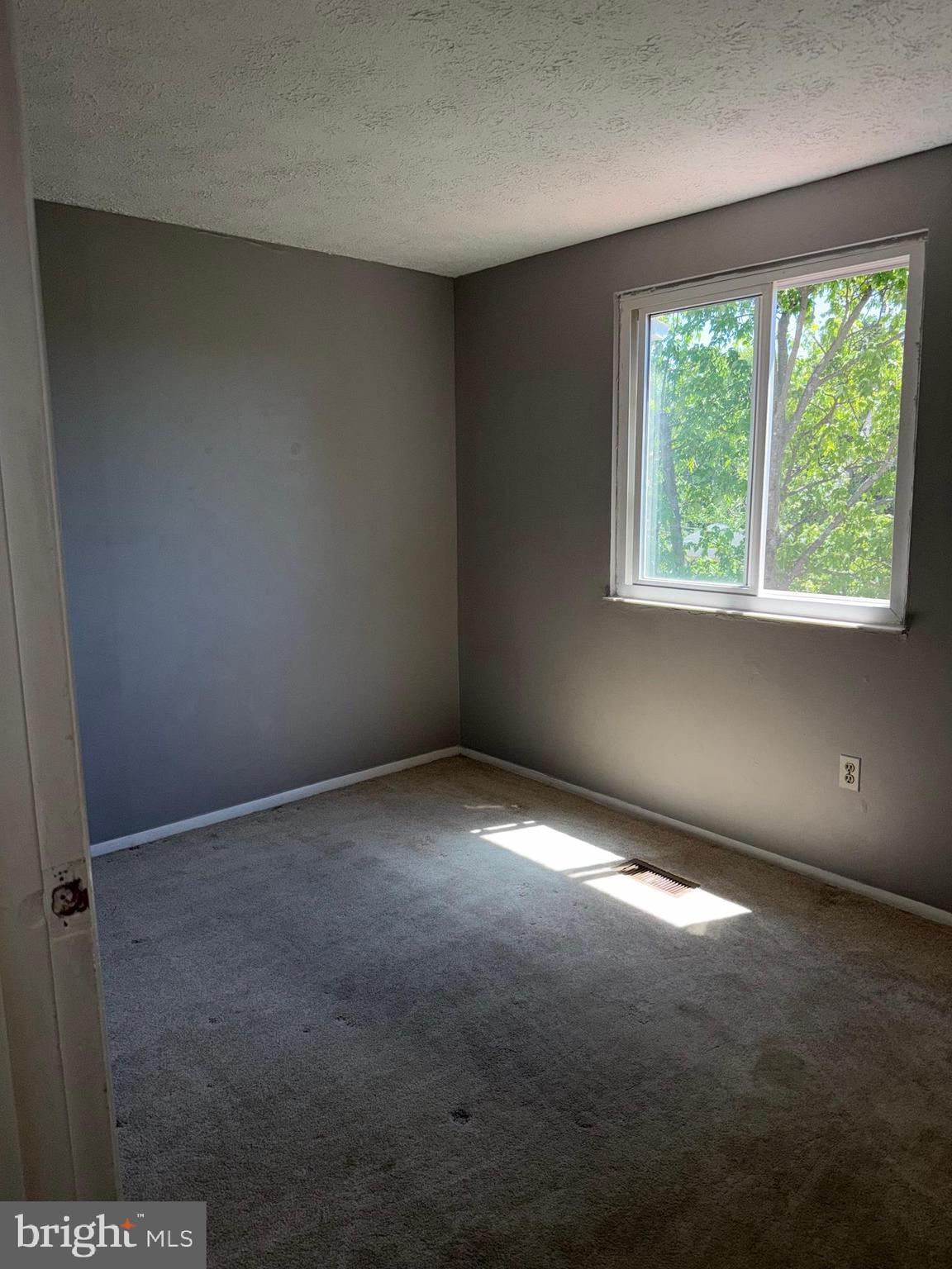 2837 Shepperton Terrace Silver Spring, MD 20904 - Photo 16 of 20