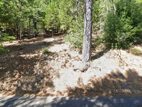 $45,000 | 16704 New York House Road, Brownsville, CA 95919