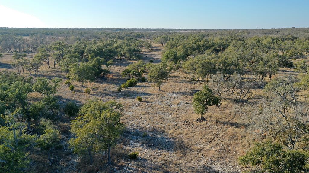 0 Stevens Ranch Road Harper, TX 78631 - Photo 10 of 31 an aerial view of forest