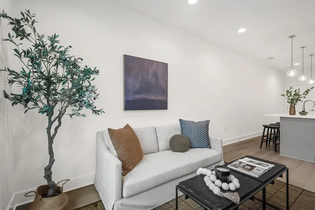 a living room with furniture and a potted plant