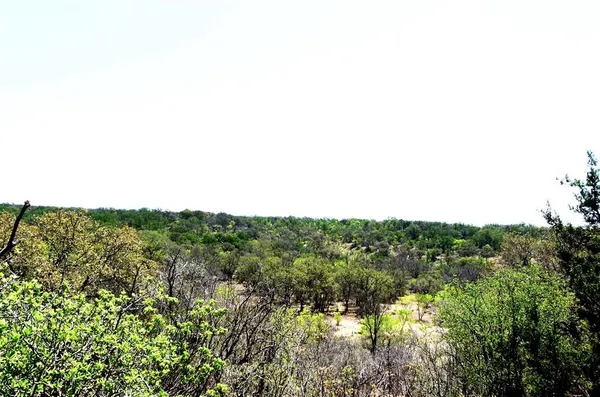 a view of a green field