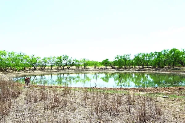 a lake view with a lake