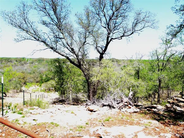 a view of a lush green field