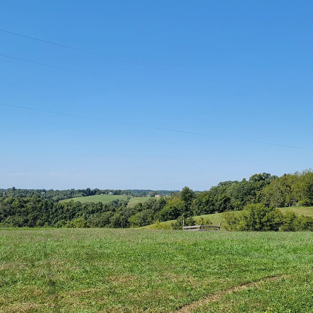 33 Fox Hunter Lane Dry Ridge, KY 41035 - Photo 6 of 31