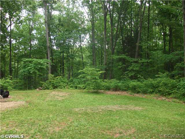 2344 Mountain View Road Powhatan, VA 23139 - Photo 8 of 9 Yard/Garden - Just a glimpse of your 2.5 acres