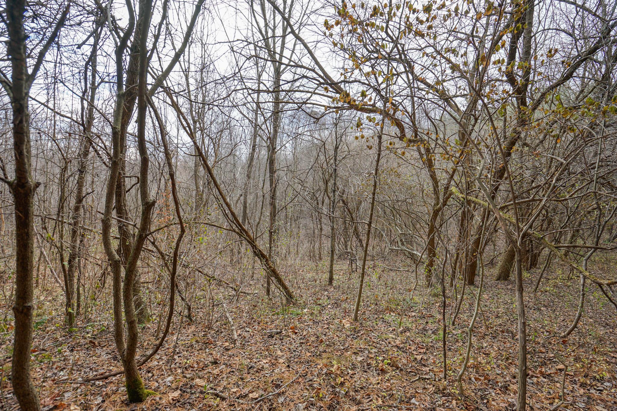 0 Fogle Road Caldwell, OH 43724 - Photo 21 of 42 DSC09905