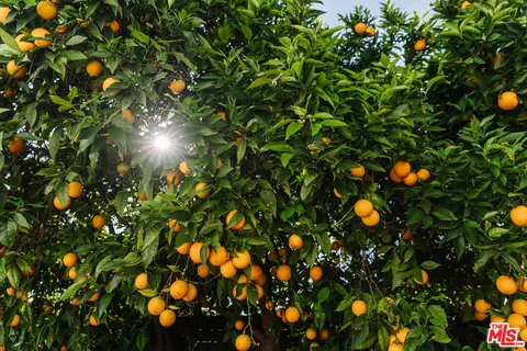 $1,350,000 | 623 North Ave 53, Los Angeles, CA 90042