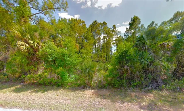 $19,900 | 20217 Winkler Avenue, Port Charlotte, FL 33954