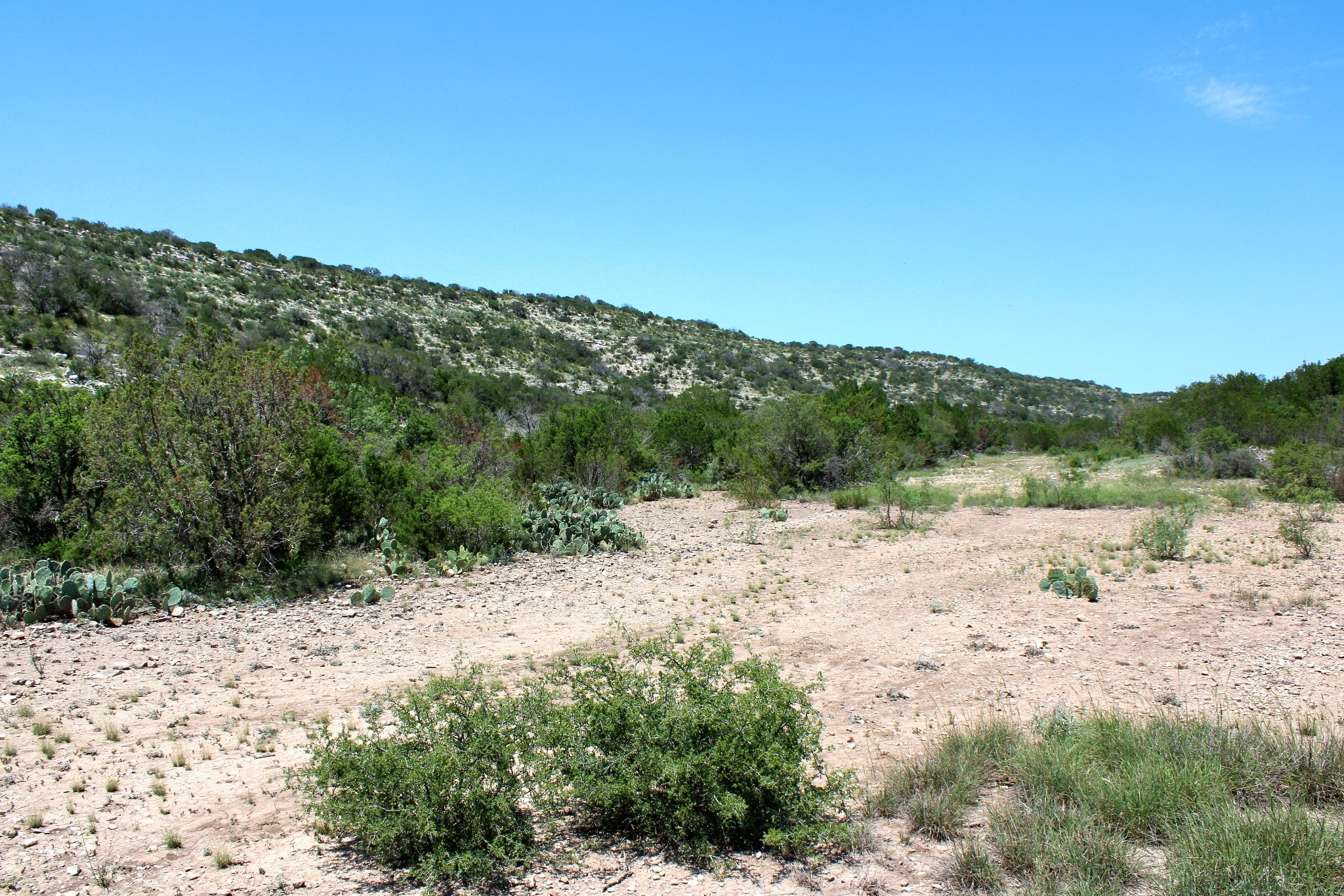 2519 Widmark Road Comstock, TX 78837 - Photo 33 of 48