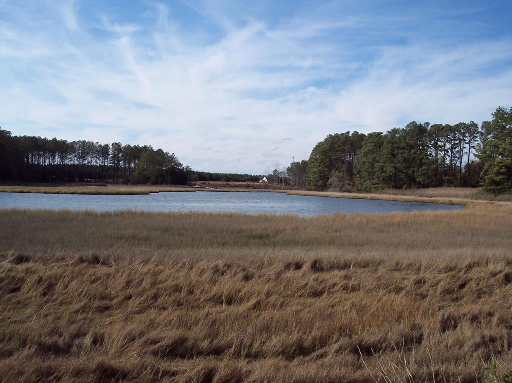 Lot #7 Metompkin Road, Unit 7 Parksley, VA 23421 - Photo 3 of 4