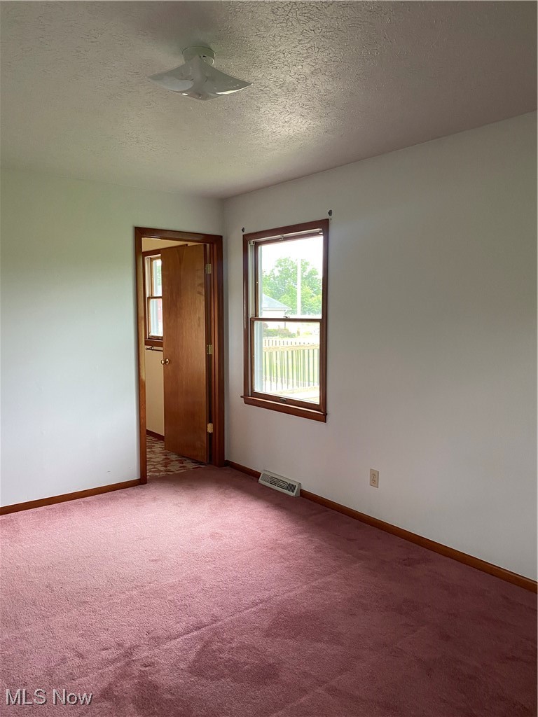 36889 Capel Road Grafton, OH 44044 - Photo 16 of 26 Empty room featuring plenty of natural light, carpet flooring, baseboards, and a textured ceiling
