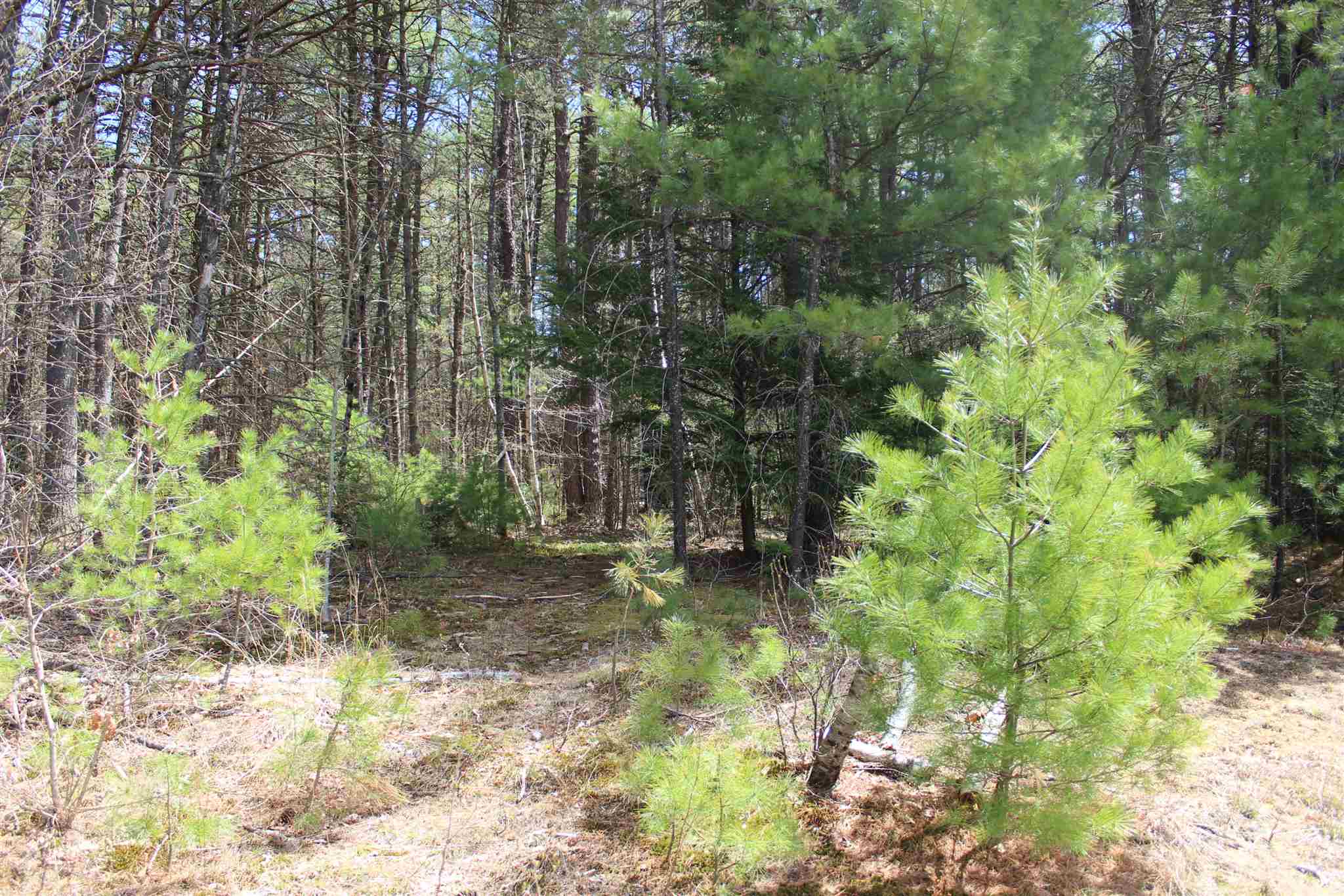 0 Drake Circle Loudon, NH 03307 - Photo 5 of 8 Gallery Image 5