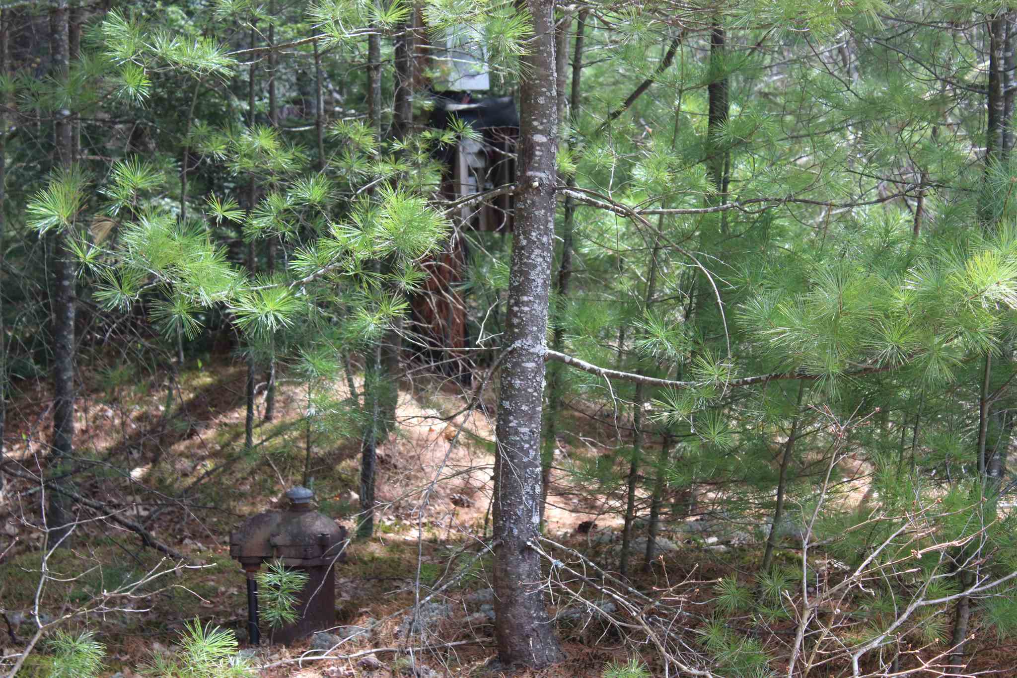 0 Drake Circle Loudon, NH 03307 - Photo 6 of 8 Gallery Image 6