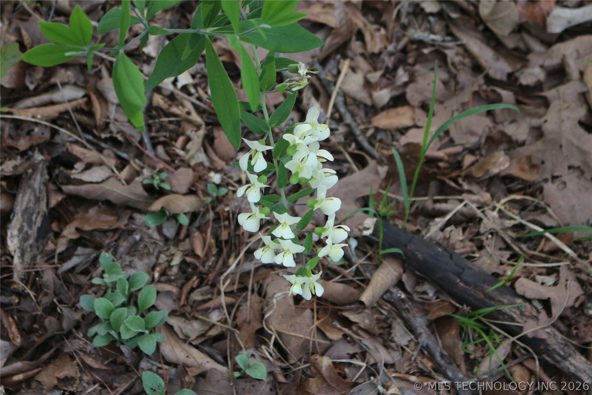 496 Wyr 56746 Road Broken Bow, OK 74728 - Photo 33 of 81 Gallery Image 33