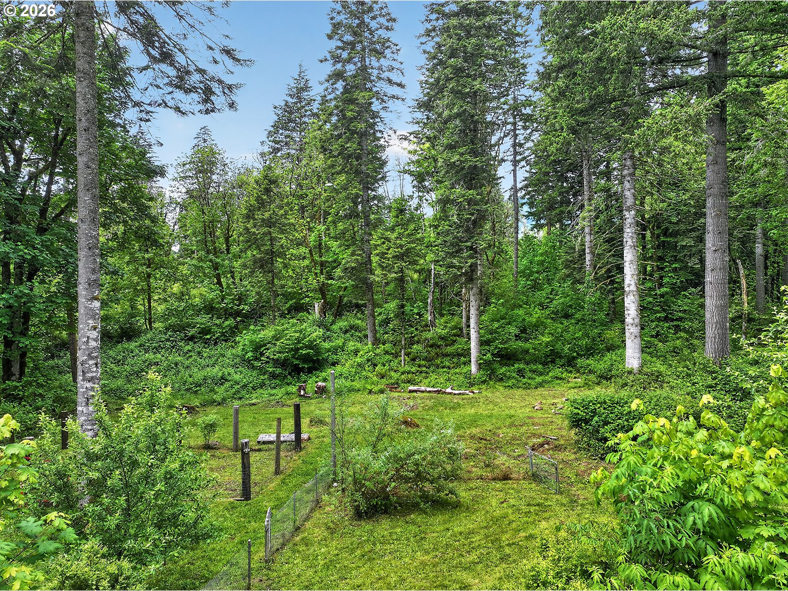 142 Spring Lane South Stevenson, WA 98648 - Photo 29 of 29 a backyard of a house with lots of green space
