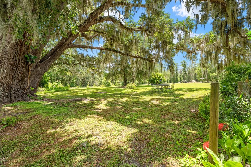 23439 Croom Road Brooksville, FL 34601 - Photo 42 of 48