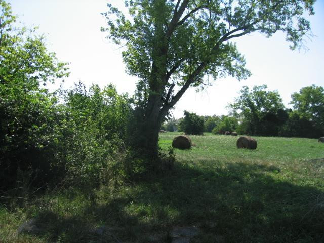 1400 Short Shun Road Nicholasville, KY 40356 - Photo 7 of 9 Photo 7