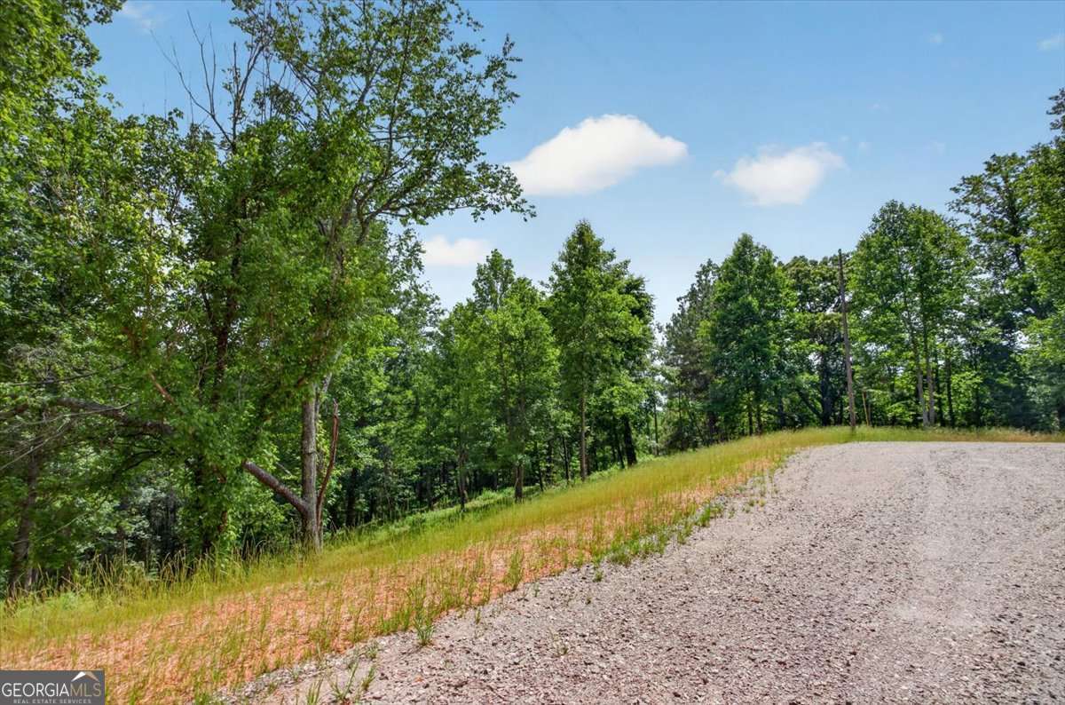 0 Conns Creek Road, Unit 2 Ball Ground, GA 30107 - Photo 22 of 57