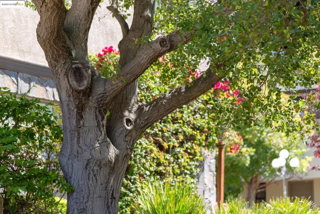 $1,780,000 | 6330 Swainland Road, Oakland, CA 94611