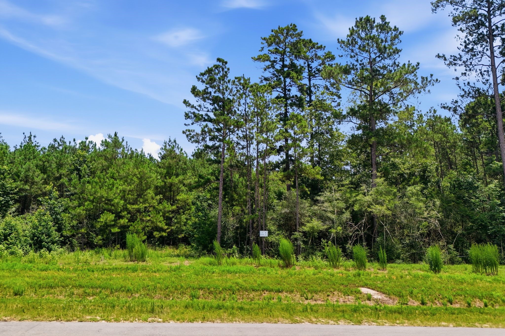 16222 Ridge Oak Road Willis, TX 77378 - Photo 29 of 32