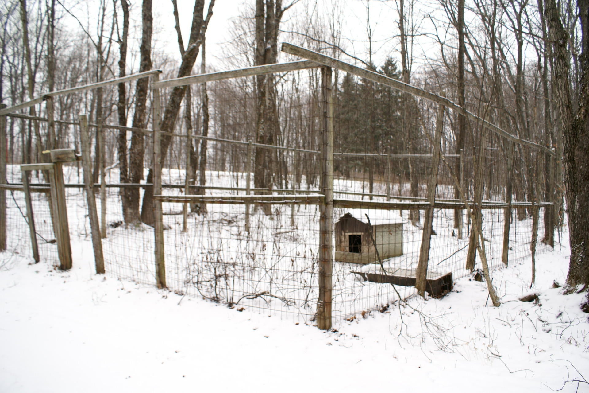 3769 West Poglese Road Hessel, MI 49745 - Photo 27 of 27 Gallery Image 27
