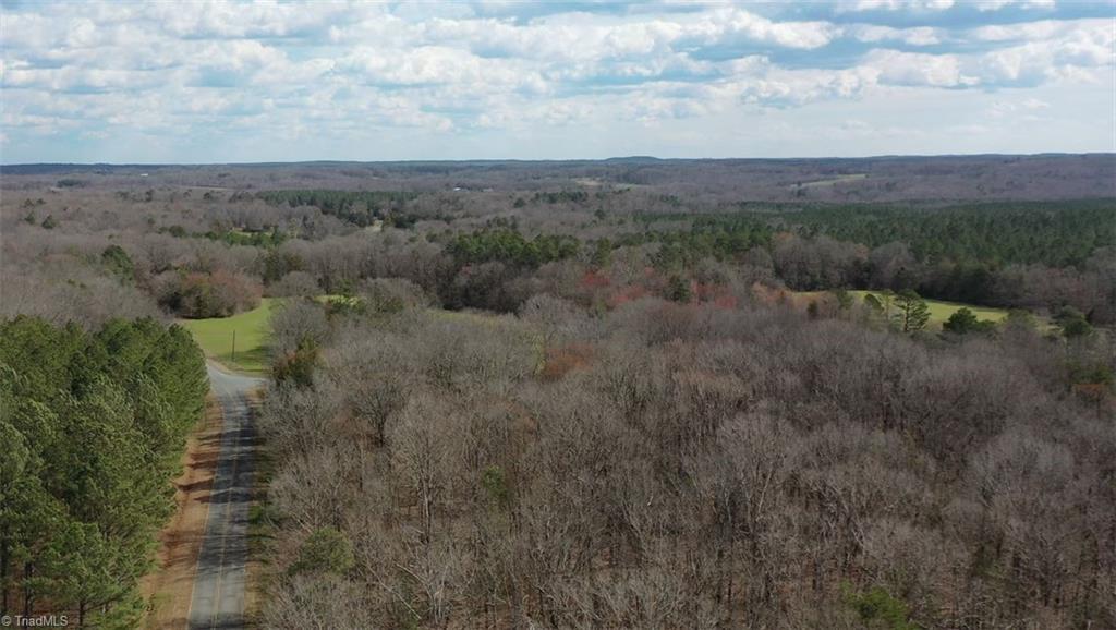 0 Log Cabin Road Ramseur, NC 27316 - Photo 12 of 27