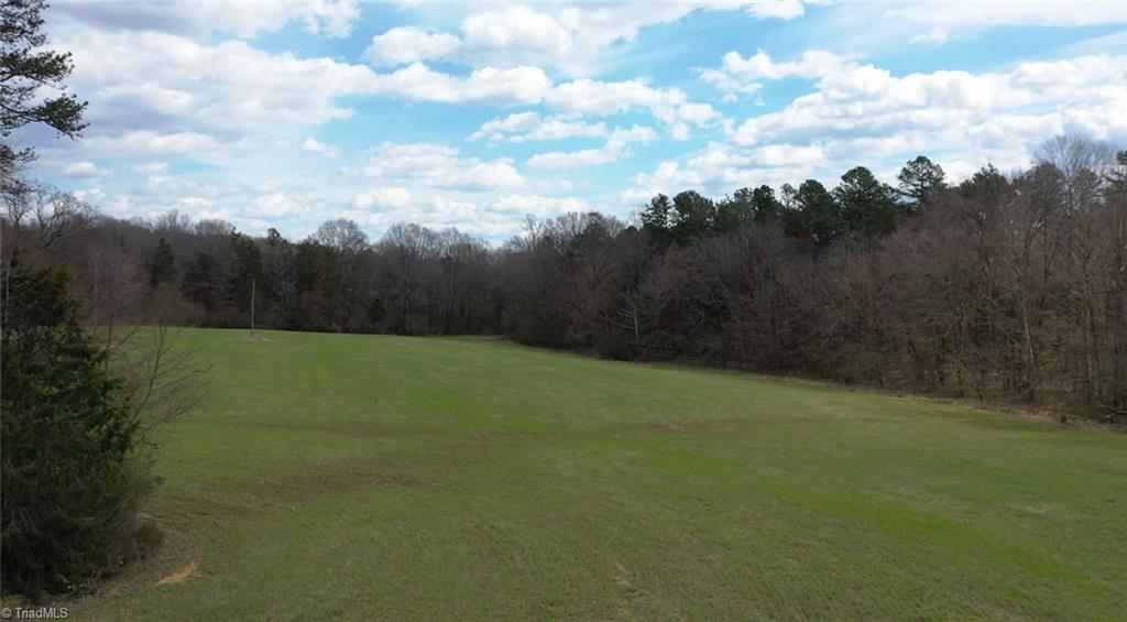 0 Log Cabin Road Ramseur, NC 27316 - Photo 17 of 27