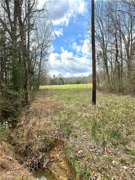 0 Log Cabin Road Ramseur, NC 27316 - Photo 24 of 27
